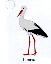 0201mnrq-6325-173x216.png