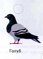 0201mnrw-163a-141x191.png