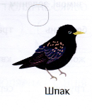 0201mnrz-a20a-130x156.png