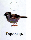 0201mns1-a91d-109x139.png