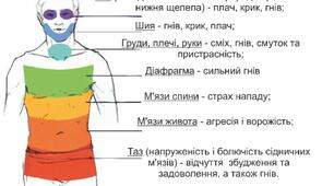 Конспект заняття на тему: "М’язевий панцир - заблоковані емоції в тілі"