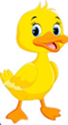 0201mo3d-c4fb-68x125.png