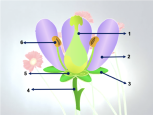 0201mop0-411e-349x263.png
