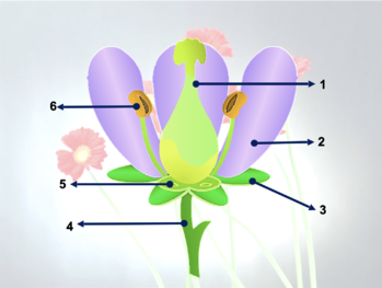 0201mop0-411e-349x263.png