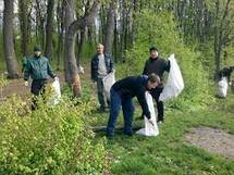 Хто повинен прибирати сміття в лісі, чи треба просто не смітити?