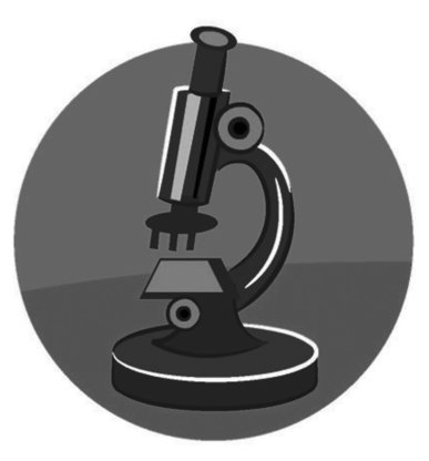0201mp8k-fd9a-387x416.png