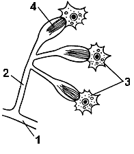 0201mqkb-4036-196x224.png