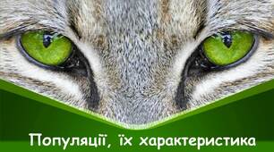 Презентація "Популяції, їх характеристика"