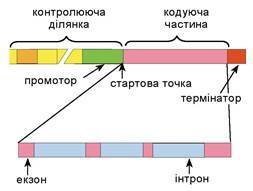 0201mr84-041d-549x414.jpg