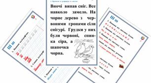 Робочі  аркуші  з  навчання  грамоти  "Я  читаю  і  пишу  велику  літеру  -  Ш"