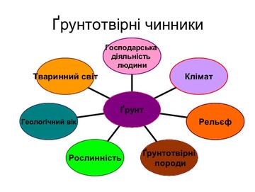 0201mspl-50e8-360x271.jpg