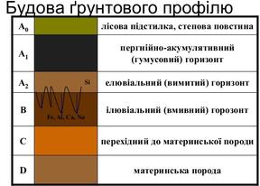 0201mspm-9dca-288x206.jpg