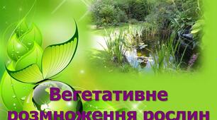 Вегетативне розмноження рослин 