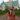 Аватар профіля