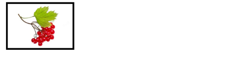 0201n049-855d-496x125.png