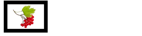 0201n04f-7290-496x127.png
