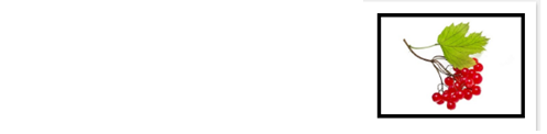 0201n04r-a7f8-497x122.png