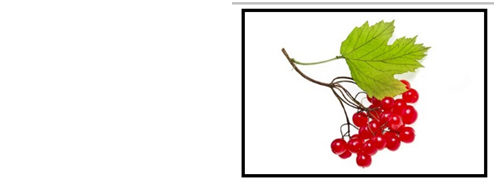 0201n058-17a7-499x186.png
