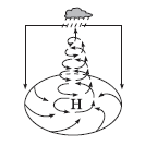 0201n0os-a49c-144x134.png