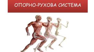 ОПОРНО-РУХОВА СИСТЕМА