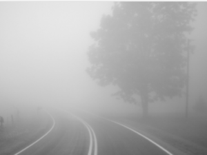 0201n2jh-9d92-300x225.png