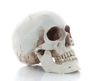 0201n2pm-4450-195x168.png