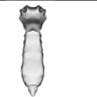 0201n2ps-90ab-197x197.png