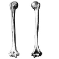 0201n2py-3540-197x197.png