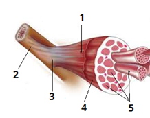 0201n2w9-8dbb-218x172.png