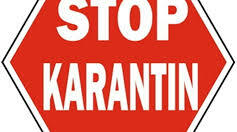 За невідвідування дитиною дистанційних занять відповідають батьки в суді.