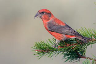 0201n6nv-7b76-312x208.jpg