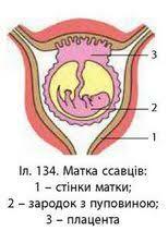 0201n6nw-a12e-154x212.jpg