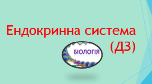 Ендокринна система (ДЗ)