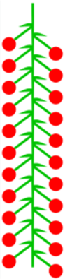 0201nb2g-f8d3-246x883.png