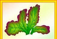 0201nbbl-e889-340x236.jpg