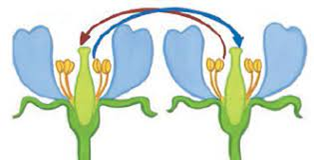 0201nc1i-0959-314x160.png