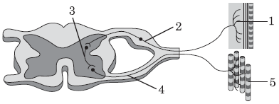 0201nd4x-3597-392x147.png