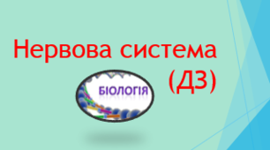 Нервова система (ДЗ)