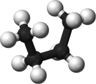 0201nex2-ce59-313x274.png