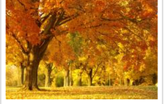 0201nh2u-ca77-234x149.png