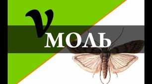Контрольна робота. Стехіометричні співвідношення.