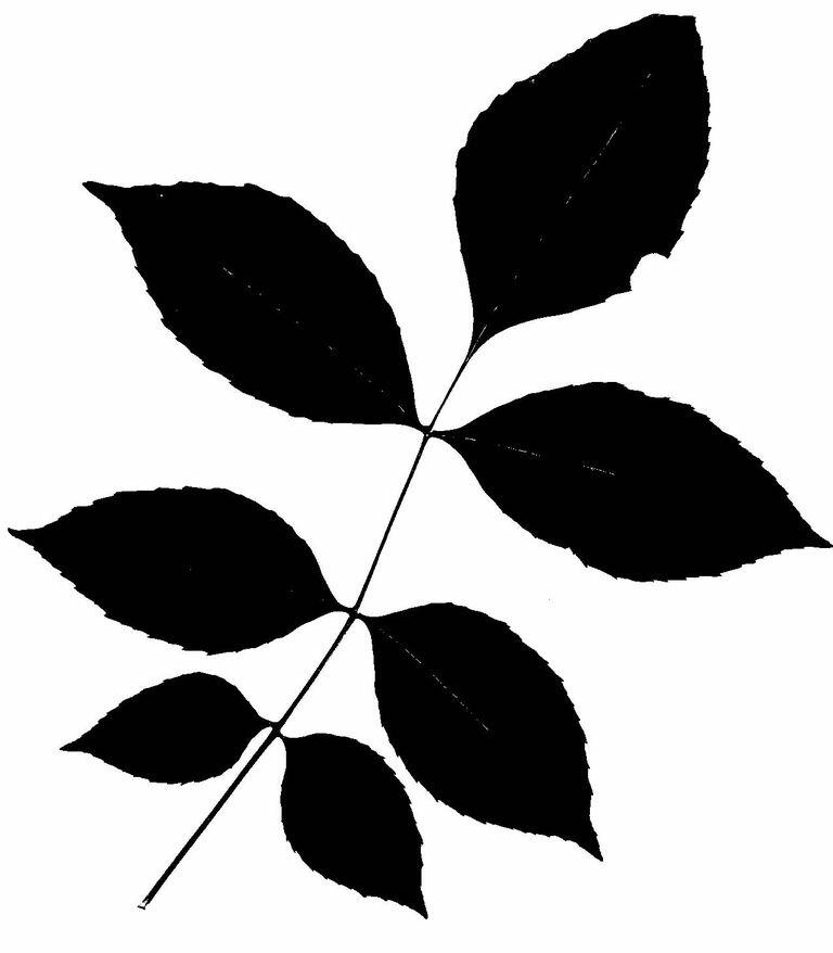 0201ni3w-5b27-768x878.jpg
