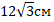 0201nipz-cc9d-54x22.png