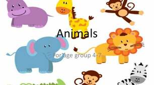 Animal reading comprehension