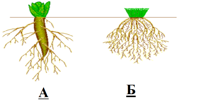 0201nkjg-2850-678x367.png