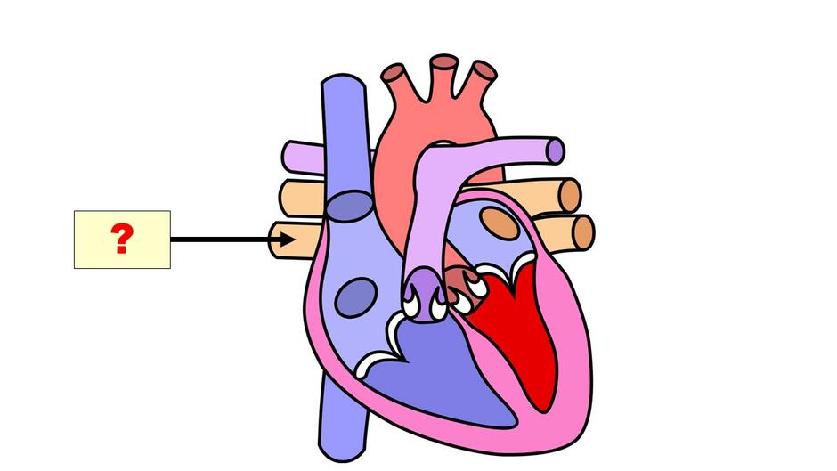 0201nkur-3728-940x529.jpg