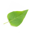0201nldo-9e3d-108x117.png