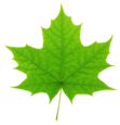 0201nle1-ef46-111x115.png