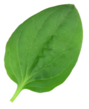 0201nlee-386d-89x109.png