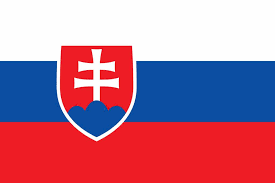 Slovakia flag icon - Country flags